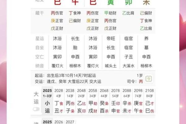 八字排盘APP下载
