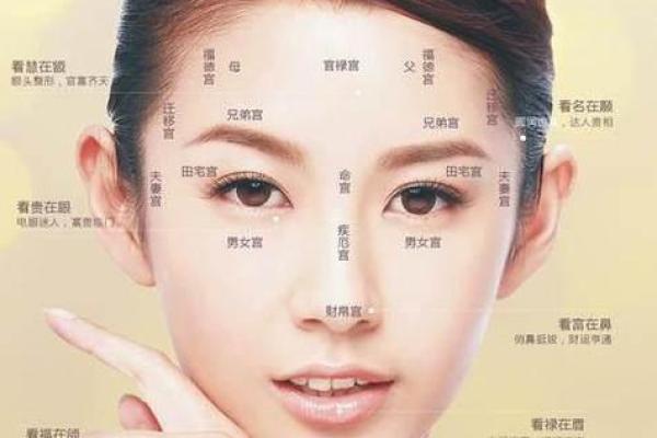 如何从女人下巴面相算命