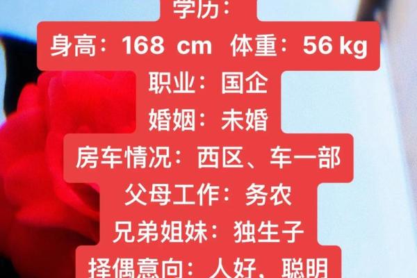 晚上7点出生的属狗男孩怎么取名，用什么字好姓名