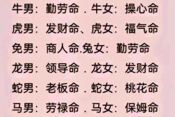 算命桃花女是什么意思呀