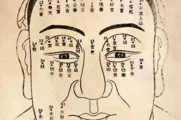 八字有咸池代表是什么？
