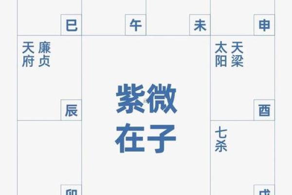 紫薇斗数测算婚姻运：幸运紫薇主星，超有婆婆缘
