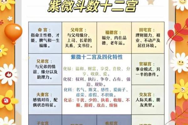 紫薇斗数二胎看那个宫位