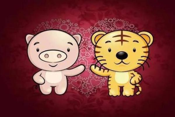 属虎和属鼠的八字合吗