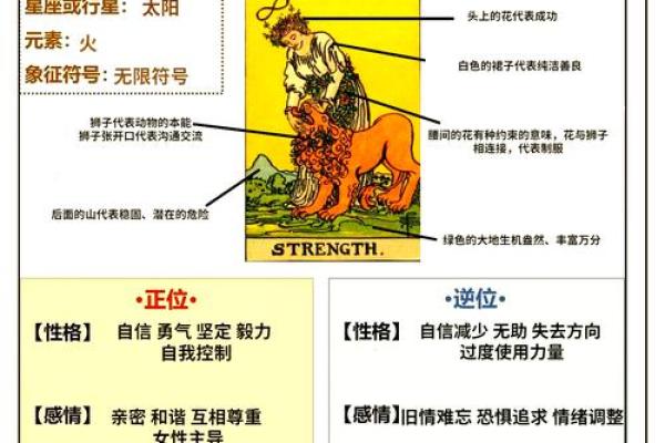 塔罗测试：你在职场最大的缺点-