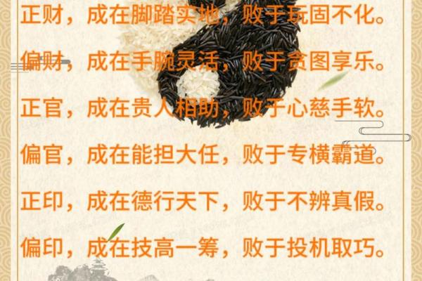 适合学易学的八字特征