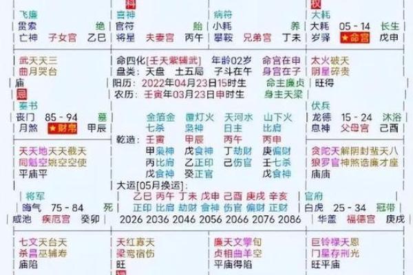 紫薇斗数男顺时