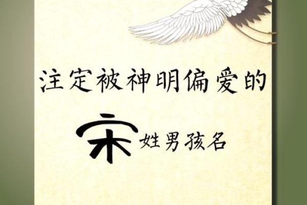 宋姓男孩名字大全-宋姓男孩起名字大全-宋姓名字大全姓名