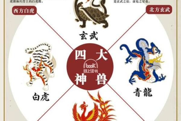 白虎在八字中代表什么意思 白虎八字代表何意