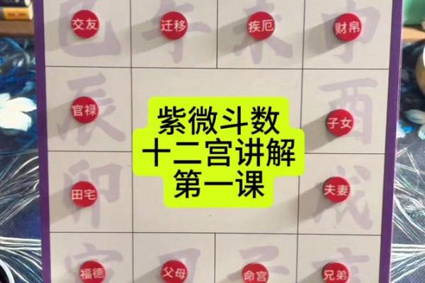 紫微斗数疾厄宫破军旺