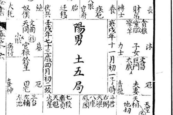 pdf紫薇斗数全书下载