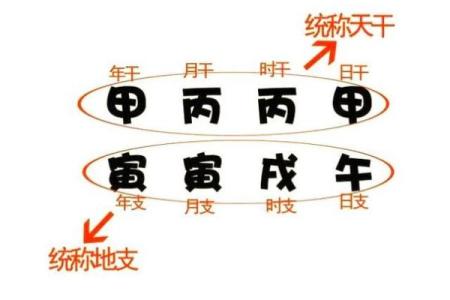 女富贵八字