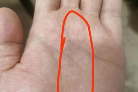 梦到男童给自己看手纹算命
