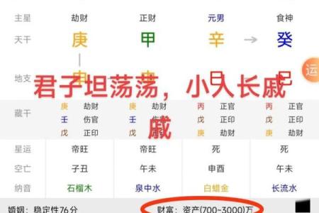 八字怎么排盘,查四柱八字的软件