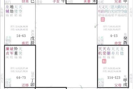 解紫薇斗数