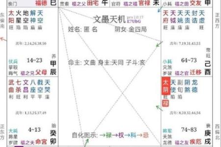 紫薇斗数精神空虚
