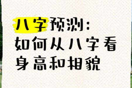八字如何看贵贱