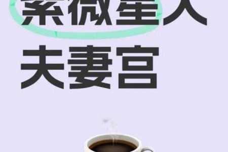 太阳在夫妻宫，紫微斗数太阳星入夫妻宫
