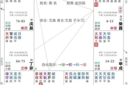 紫薇斗数对冲忌
