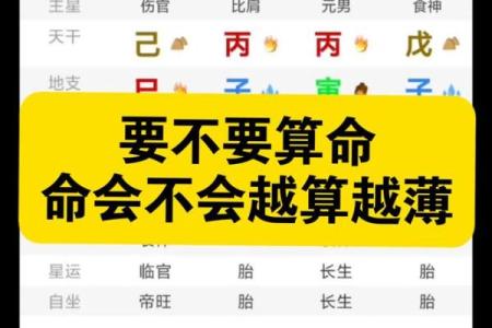 算命软件的算法