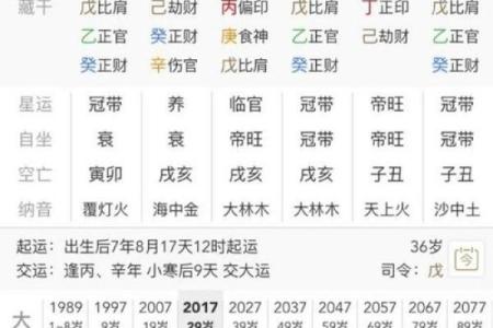 八字博士