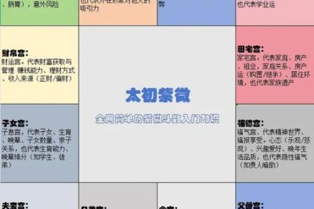 紫薇斗数小限详解