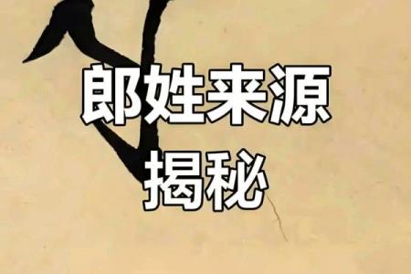 郎姓男孩名字大全-郎姓男孩起名字大全-郎姓名字大全姓名