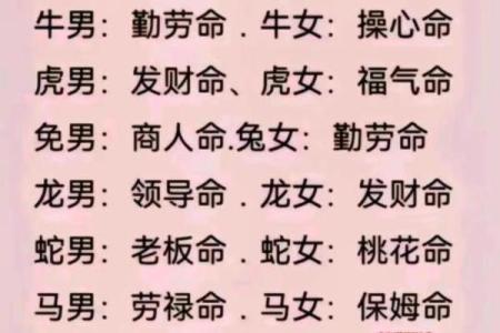 算命桃花女是什么意思呀