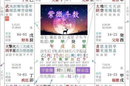 紫薇命盘免费详解 如何免费详解紫薇命盘