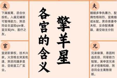 紫薇斗数忌星煞星