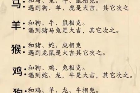 属虎和属鼠的八字合吗