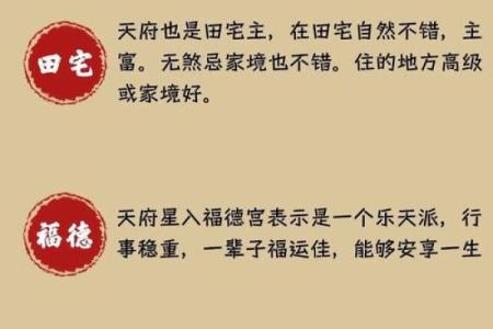 何国栋紫薇斗数