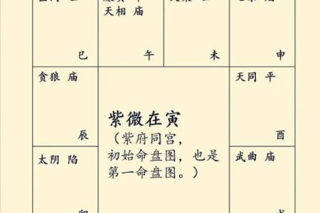 紫薇斗数化禄星