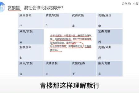 紫薇斗数贪狼在命宫