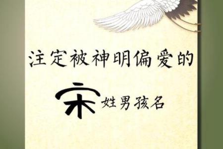 宋姓男孩名字大全-宋姓男孩起名字大全-宋姓名字大全姓名