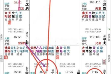 紫薇斗数流月运势