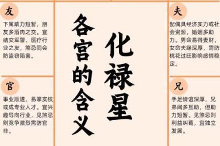 紫薇斗数木葡之人