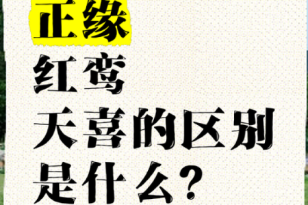 紫薇命盘看红鸾天喜,命宫红鸾天喜