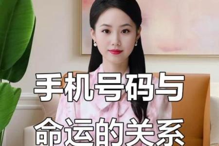 测试手机号码吉凶运试