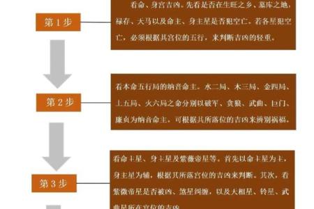 紫薇斗数盘解析