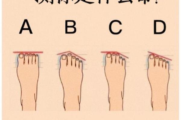 神准测试--选对行！适合你的工作种类是什么？