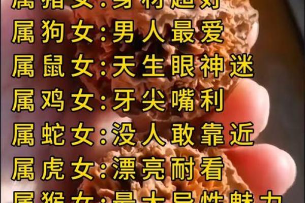 属猪和属鼠的八字合吗