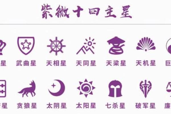 紫薇斗数阴阳星
