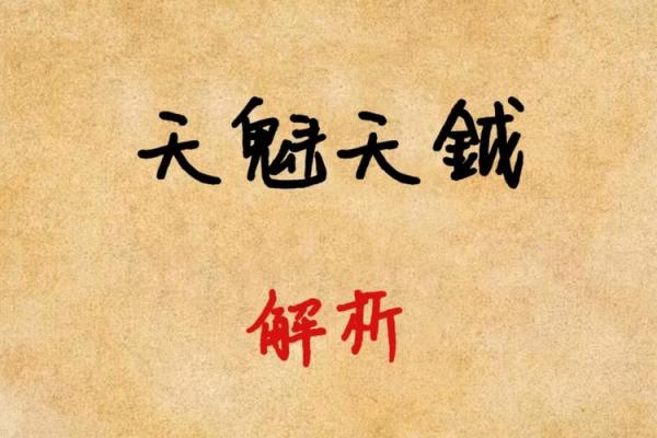 紫薇斗数怎么安天魁
