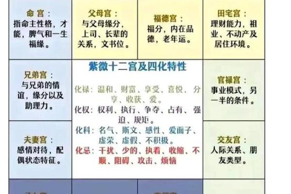 紫薇斗数看命运