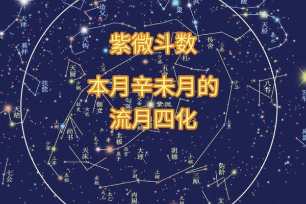 紫薇斗数怎么看流月吉凶