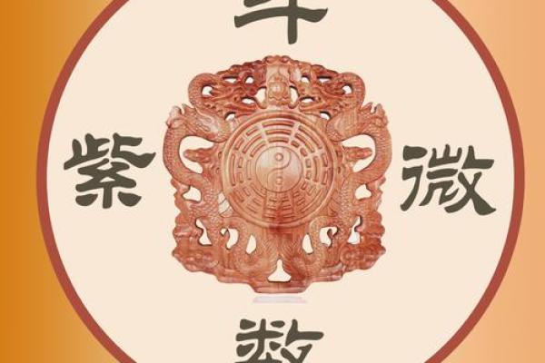 紫薇斗数中的坐守是什么