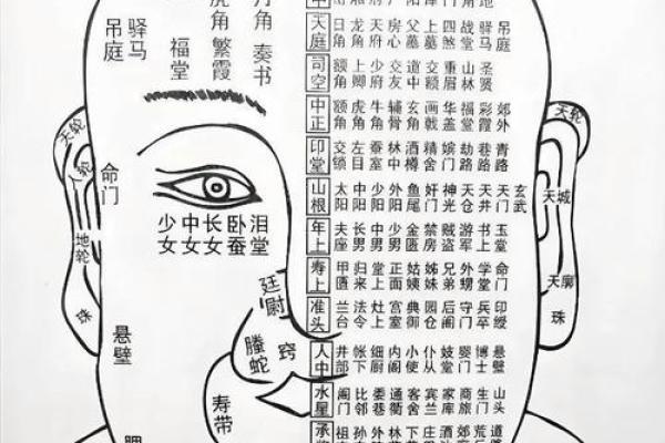 连心眉面相算命图解