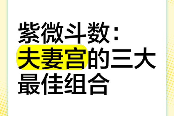 紫薇斗数夫妻同盘