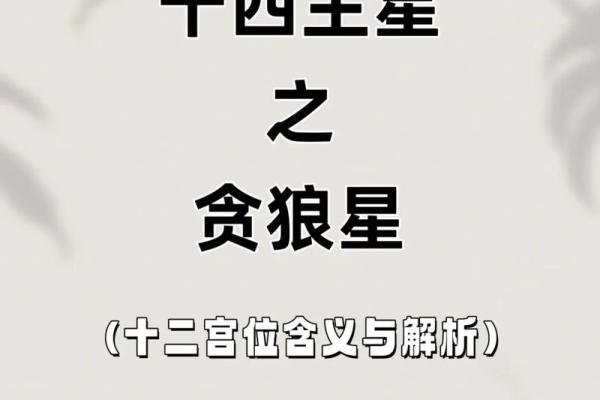 紫薇斗数多才多艺怎么看